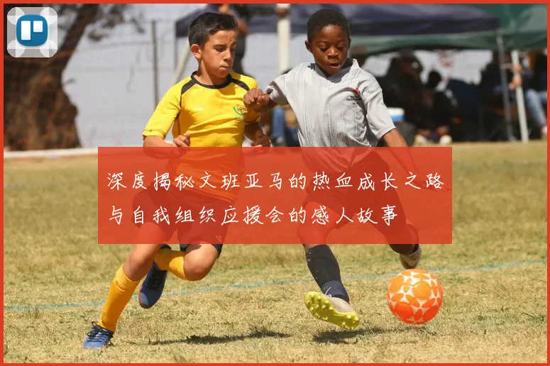 深度揭秘文班亚马的热血成长之路与自我组织应援会的感人故事